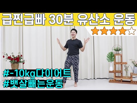 살이 쭉쭉 빠지는 다이어트 댄스 집에서 3km 걷기 (feat. 뱃살빠지는 운동 포함)