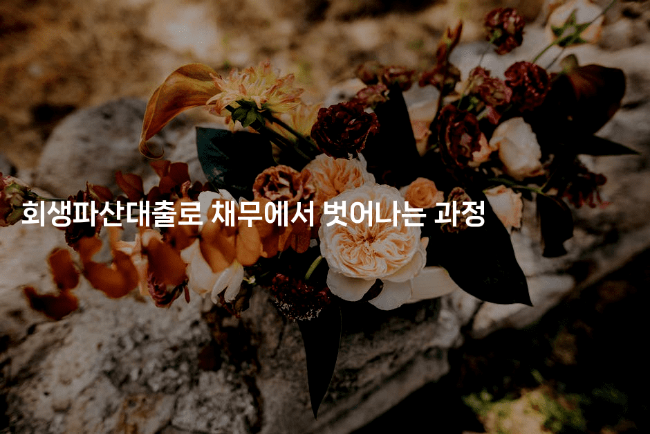 회생파산대출로 채무에서 벗어나는 과정-체코치