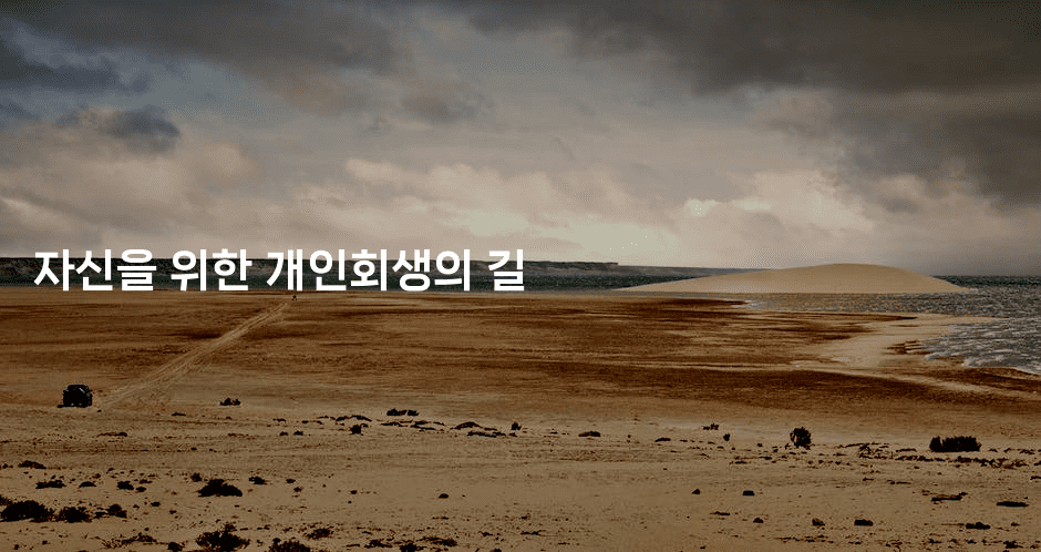 자신을 위한 개인회생의 길-체코치