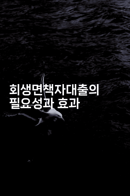 회생면책자대출의 필요성과 효과