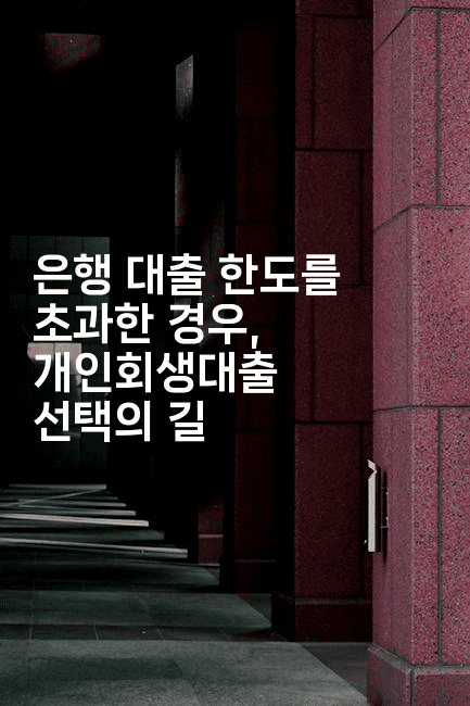 은행 대출 한도를 초과한 경우, 개인회생대출 선택의 길-체코치