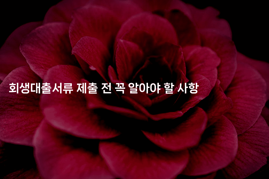 회생대출서류 제출 전 꼭 알아야 할 사항-체코치