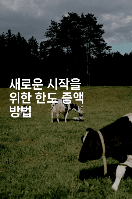 새로운 시작을 위한 한도 증액 방법-체코치