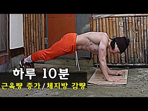 근육량을 늘리면서 체지방을 줄이는 가장 빠른 맨몸 전신운동 루틴 / 하루 10분 지방 태우는 맨몸운동 루틴