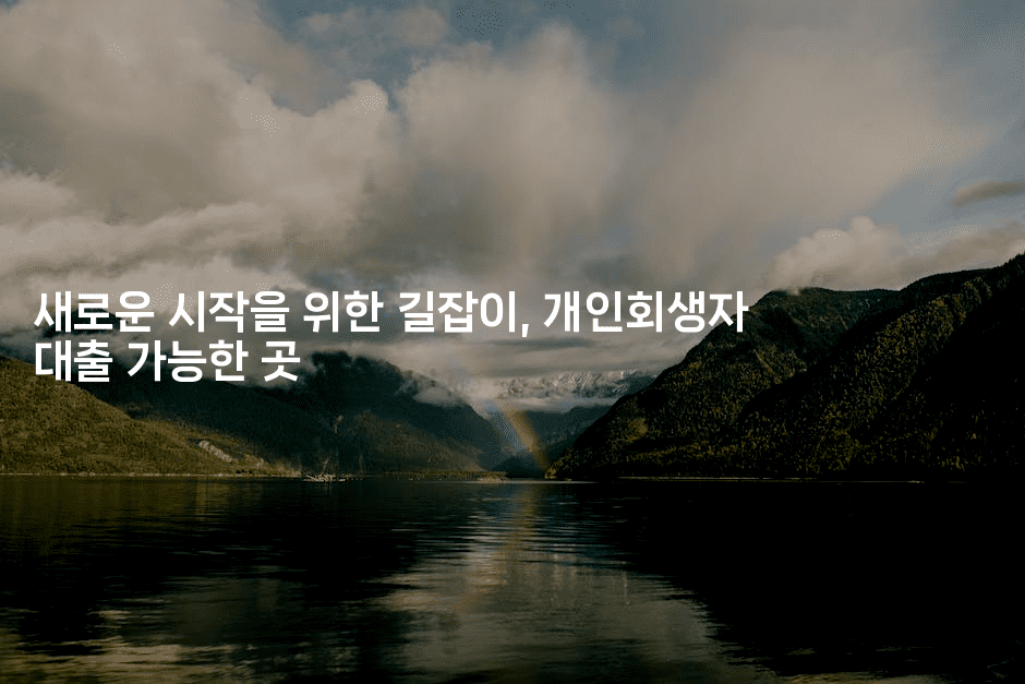 새로운 시작을 위한 길잡이, 개인회생자 대출 가능한 곳-체코치