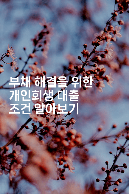 부채 해결을 위한 개인회생 대출 조건 알아보기-체코치