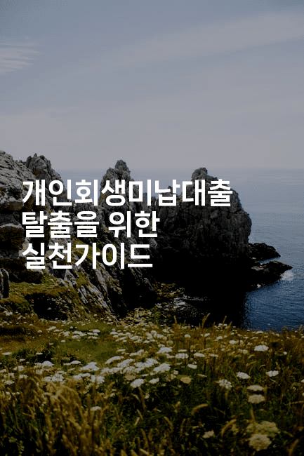 개인회생미납대출 탈출을 위한 실천가이드-체코치