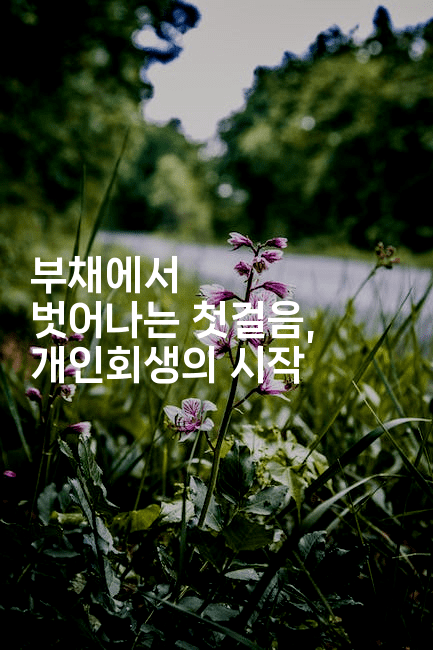 부채에서 벗어나는 첫걸음, 개인회생의 시작-체코치