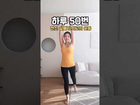 전신 살빼기 최고의 운동 체지방 무조건 빠지는 운동이에요 ? 매일 한쪽당 50번씩 해보세요 !  #홈트 #다이어트 #다이어트운동 #홈트레이닝 #홈트추천 #홈트운동 #홈트다이어트