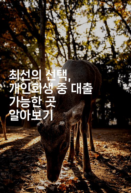 최선의 선택, 개인회생 중 대출 가능한 곳 알아보기-체코치