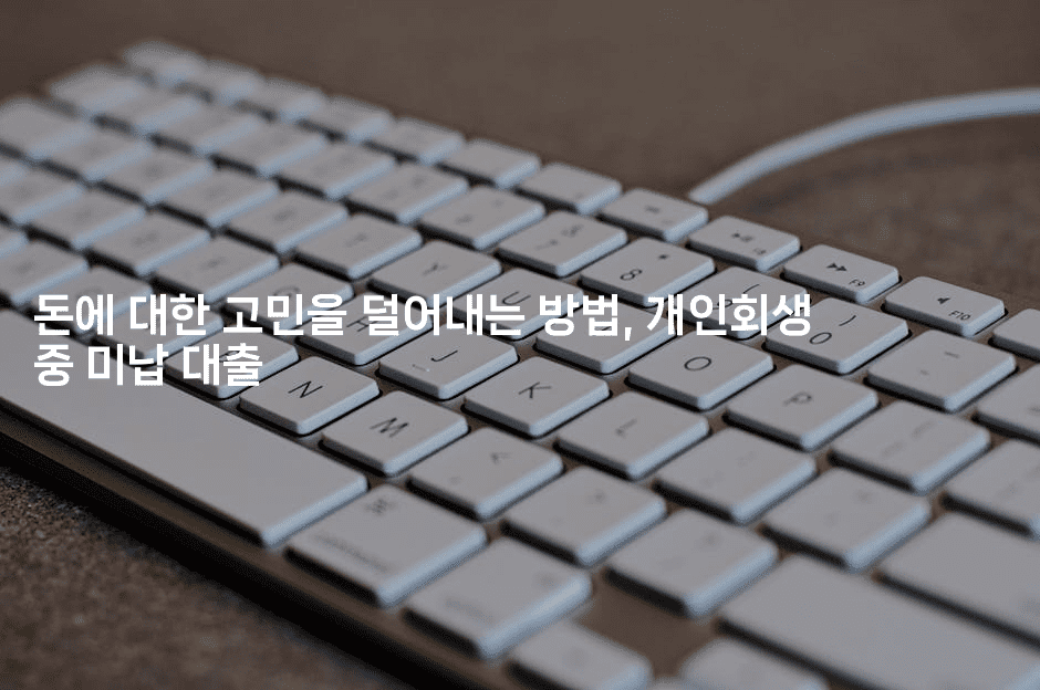 돈에 대한 고민을 덜어내는 방법, 개인회생 중 미납 대출-체코치