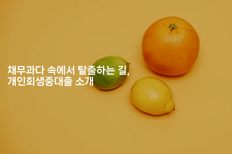 채무과다 속에서 탈출하는 길, 개인회생중대출 소개-체코치